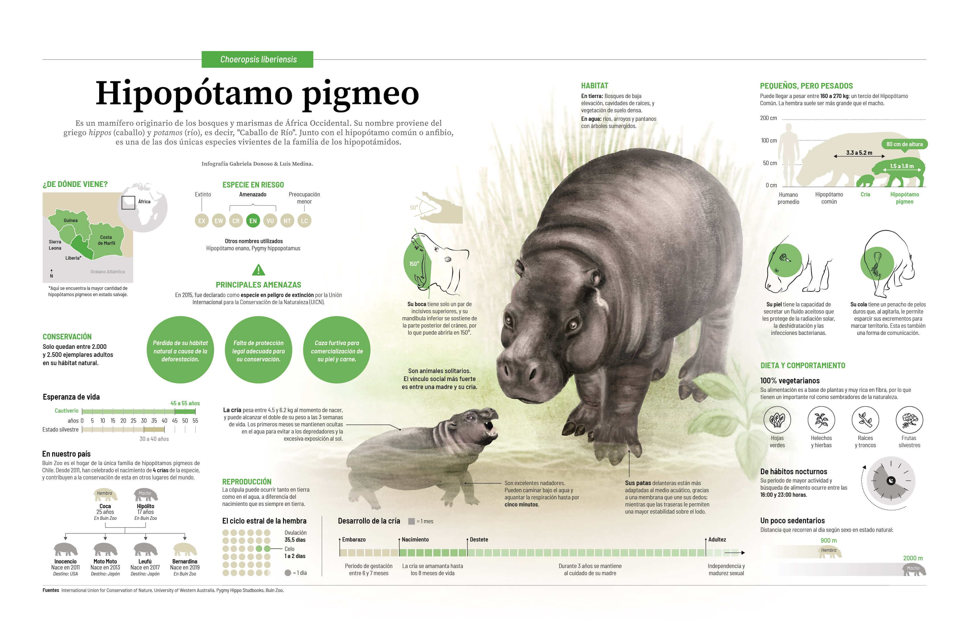 infografía impresa pequeña